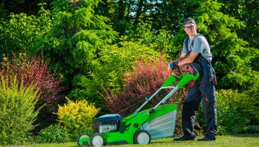 Professional Lawn Mowing